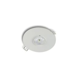 LINERGY - VIALED EVO 4