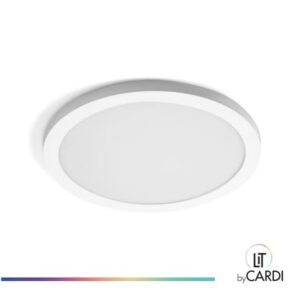 LIT by Cardi - Ava downlight slim adaptable