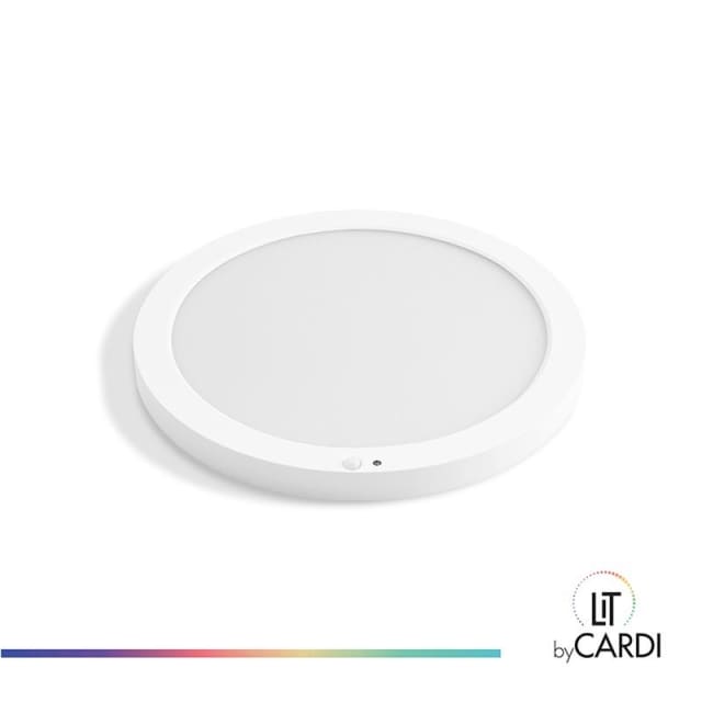 LIT by Cardi - Ava downlight slim adaptable 7 LIT by Cardi - Ava downlight slim adaptable 7