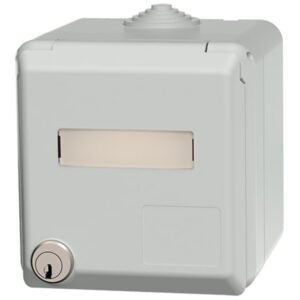 MENNEKES - CEPEX PRISE MURALE 1NF RAL7035 IP44 - M4920