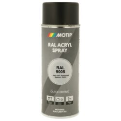 Détails visibles de Peinture acrylique aérosol noir foncé RAL 9005 pour Peinture aérosol