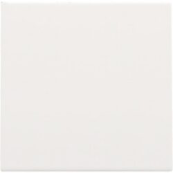 Enjoliveur cache-trou blanc acier, finition white coated