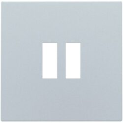 Plaque de finition grise avec double ouverture verticale pour chargeur USB