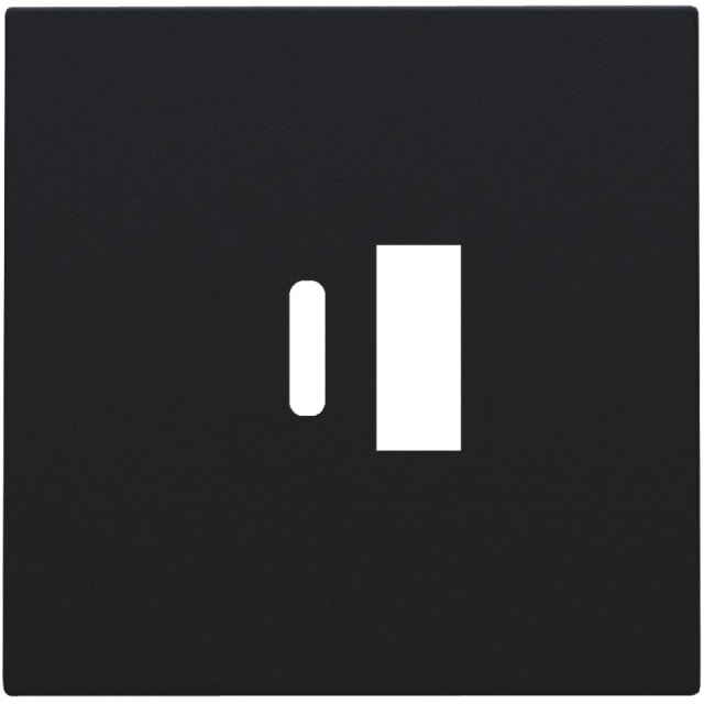 NIKO - Enjoliveur pour double chargeur USB-A et USB-C intelligent NIKO - Enjoliveur pour double chargeur USB-A et USB-C intelligent