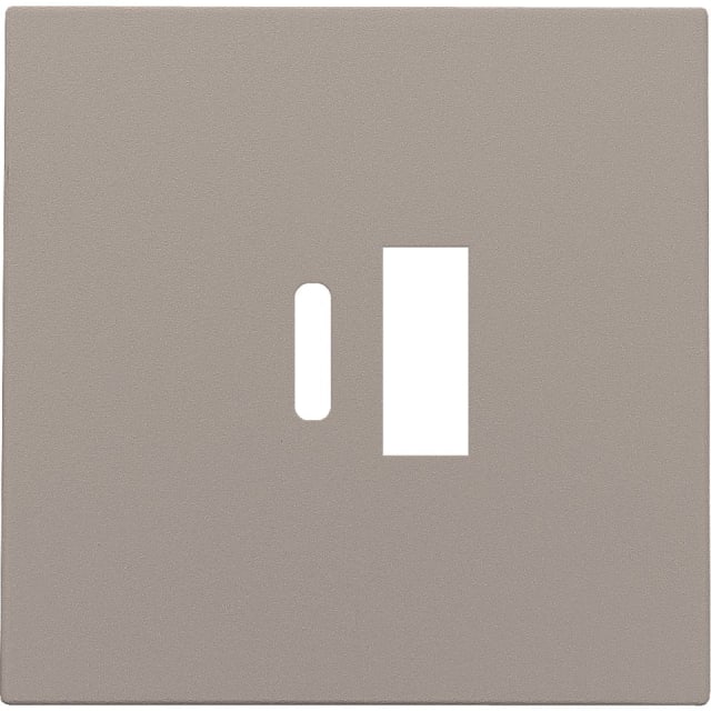 NIKO - Enjoliveur pour double chargeur USB-A et USB-C intelligent NIKO - Enjoliveur pour double chargeur USB-A et USB-C intelligent
