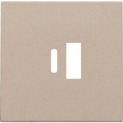 Détails visibles de Enjoliveur double chargeur USB-A et USB-C champagne pour Enjoliveur USB
