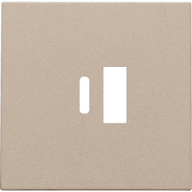 NIKO - Enjoliveur pour double chargeur USB-A et USB-C intelligent NIKO - Enjoliveur pour double chargeur USB-A et USB-C intelligent