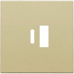 Détails visibles de Enjoliveur double chargeur USB-A et USB-C or pour Enjoliveur USB