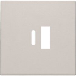 Détails visibles de Enjoliveur double chargeur USB-A et USB-C gris clair pour Enjoliveur USB