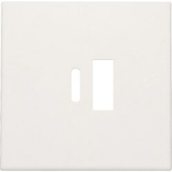 Détails visibles de Enjoliveur double chargeur USB-A USB-C blanc pour Enjoliveur USB
