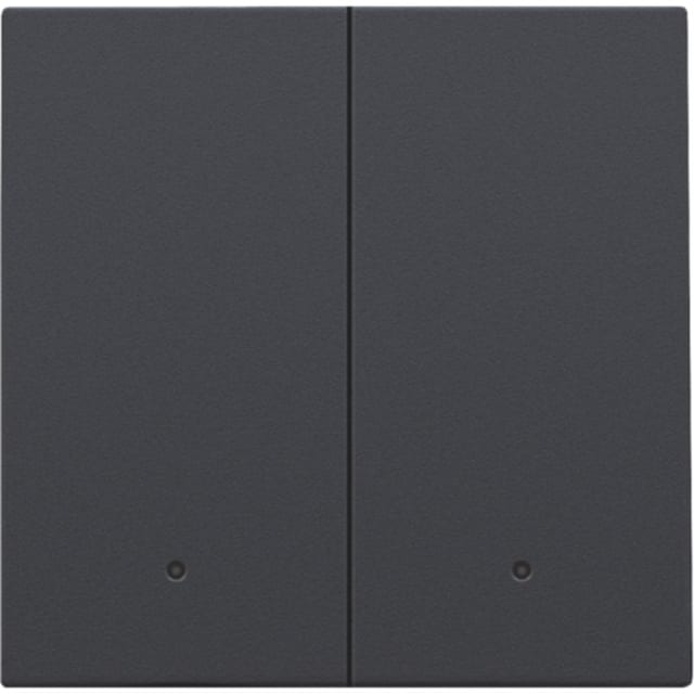 NIKO - Manette double avec lentille pour interr. électr. ou bouton-poussoir NIKO - Manette double avec lentille pour interr. électr. ou bouton-poussoir