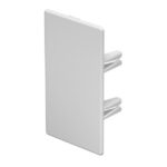 OBO BETTERMANN - Embout WDK 60x110 blanc pur - 6193307