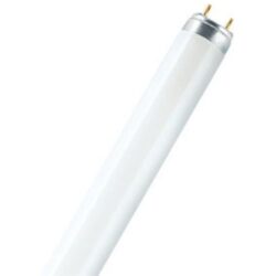 Tube fluorescent T8 blanc culot G13 30 W 840