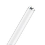 OSRAM - Tl 20w Ø38 1150lm 640s - 4050300014685