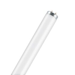 Tube fluorescent blanc 20W culot droit 1150 lm blanc froid 640