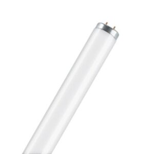OSRAM - Tl 20w Ø38 1150lm 640s - 4050300014685