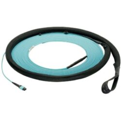 PANDUIT - Singlemode 24-Fiber