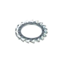 PROFTEC - PROFTEC Rondelle éventail zingué DIN6798A M6 (100) - 5490.01.00601