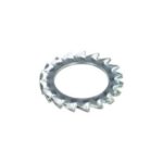 PROFTEC - PROFTEC Rondelle éventail zingué DIN6798A M8 (100) - 5490.01.00801