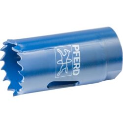 Pferd - Scie