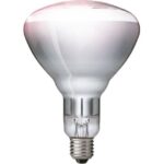 Philips Lighting - BR125 Infrarouge 250W E27 CL dimmable lampe infrarouge industrie - 8711500575234