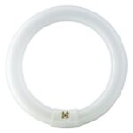 Philips Lighting - Master TL-E Circular Super 80 40W G10Q 4000K 3200lm CRI80 - 8711500284747
