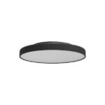 Prolumia - Accu pour Prodisc - 40009290