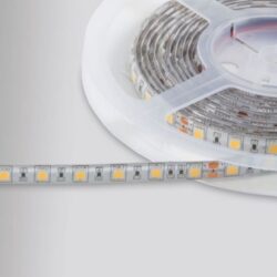 Ruban LED RGB IP62 12V 60 LED m bande souple avec puces SMD