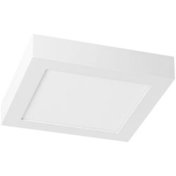 Prolumia - Pro-Ceiling 220x220xH39mm app max 20W IP40 2700-3000-4000K blanc dimmable - 40001820
