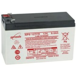 RAS Safety en Security - Batterie à plomb acide 12V 9 AH - ENP9-12