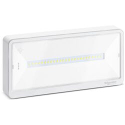 Éclairage de secours LED IP42 250 lm, montage Saillie murale / plafond