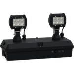SCHNEIDER EMERGENCY LIGHTING - Eclairage de secours Exiway SmartDuo Activa/IP65