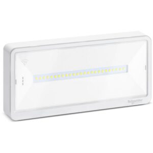 SCHNEIDER EMERGENCY LIGHTING - Exiway Light - IP65 -250 lumen - multi-autonomie - OVA44019
