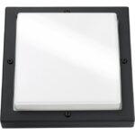 SG Lighting - Bassi appl apparent LED noir/graphite 10W LED intégré IP65 - 614187