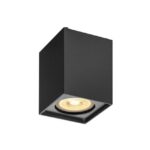 SLV Belgium - Applique/plafond indoor apparent Altra Dice CL QPAR51 noir - 1002216