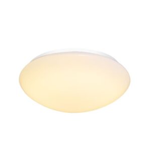 SLV Belgium - Applique/plafond outdoor apparent Lipsy 40 Dome LED blanc IP44 3000/4000K - 1002021
