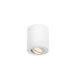SLV Belgium - Plafonnier indoor apparent Triledo CL QPAR51 blanc max. 10W - 1002011