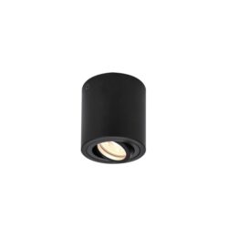 SLV Belgium - Plafonnier indoor apparent Triledo CL QPAR51 noir max. 10W - 1002010