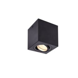 SLV Belgium - Plafonnier indoor apparent Triledo CL QPAR51 noir max. 10W - 1002013
