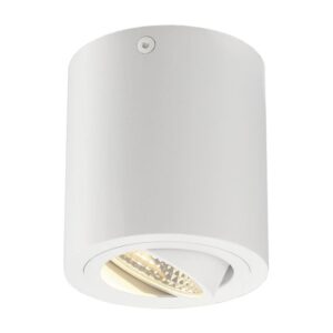 Plafonnier LED cylindrique blanc mat orientable 3000K avec spot encastré