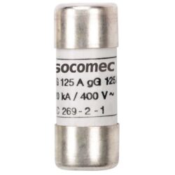Détails visibles de Fusible cylindrique gG 10x38 sans percuteur 2A pour Fusibles