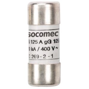 SOCOMEC - Fus gg 10x38 2a sans perc - 60120002