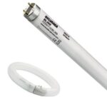 SYLVANIA - BLACKLIGHT BL368 CIRCLINE TL T9 32W 216mm G10q - 0000100