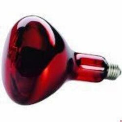 SYLVANIA - INFRAROUGE INCANDESCENCE REFL R125 ruby 150W E27 - 0033002