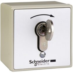 Schneider Automation - boîte à boutons en saillie inviolable - XAP-S - à serrure - XAPS11221N