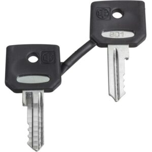 Schneider Automation - clé pour serrure - 421E - jeu de 2 - ZBG421E