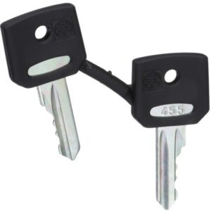 Schneider Automation - clé pour serrure - 455 - jeu de 2 - ZBG455