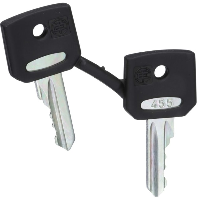 Schneider Automation - clé pour serrure - 455 - jeu de 2 - ZBG455 Schneider Automation - clé pour serrure - 455 - jeu de 2 - ZBG455