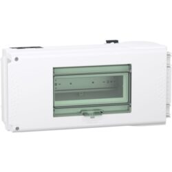 Schneider Distribution - Coffret de dérivation 63A 3P+N+PE