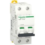 Schneider Distribution - Disjoncteur iC60H 2P 32A D - A9F85232